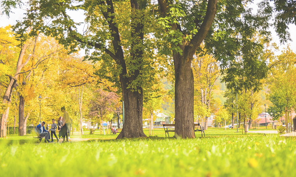 企業理念 ひとの幸せを想い笑顔あふれる社会をつくる。
