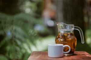 太陽のモリンガ茶 試飲会のお知らせ